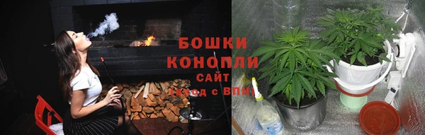 spice Алексин