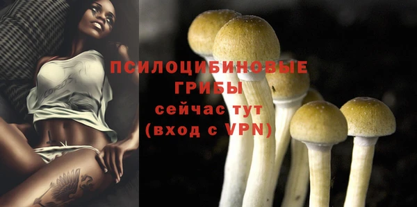 ECSTASY Абинск